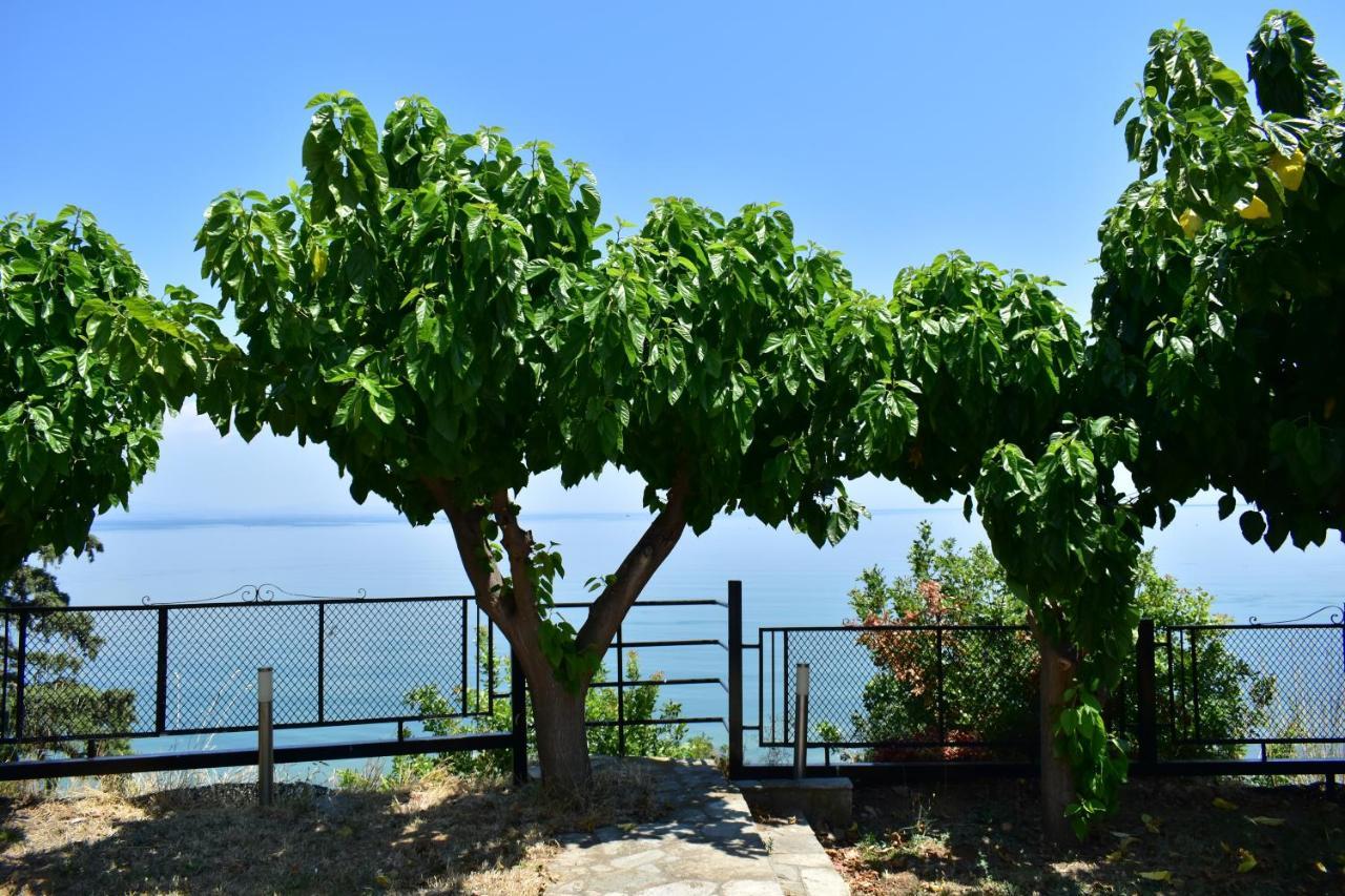 White Clam Vintage House With Sea View & Garden Villa Makrygialos Exterior photo